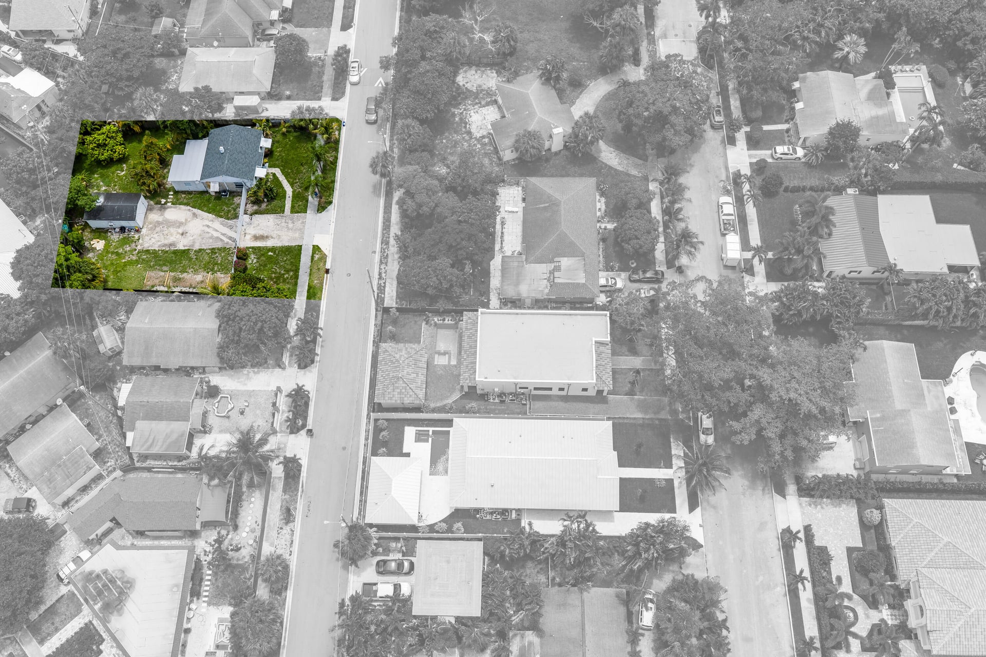 Flamingo Park Residence photo 5