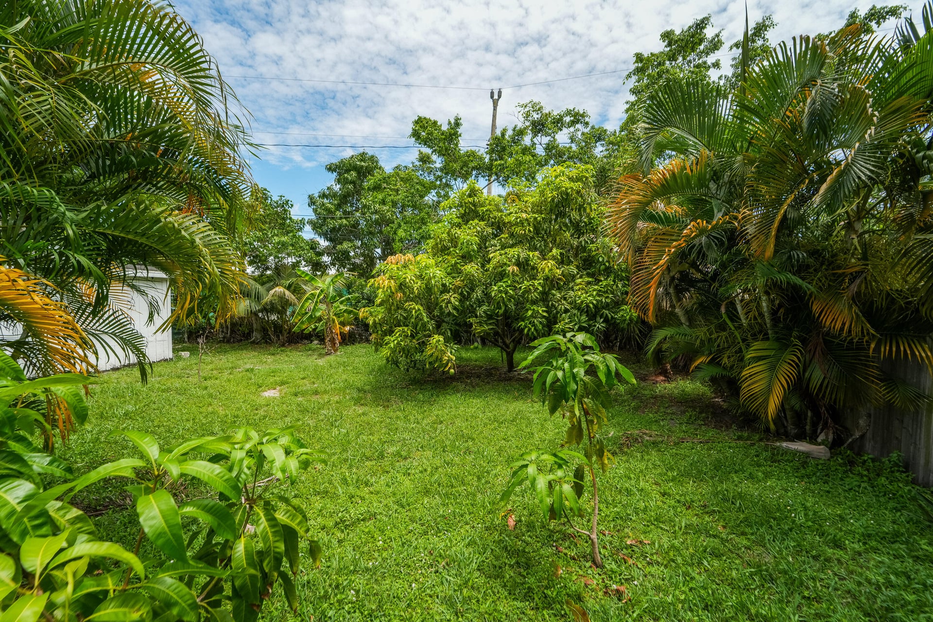 Flamingo Park Residence photo 22