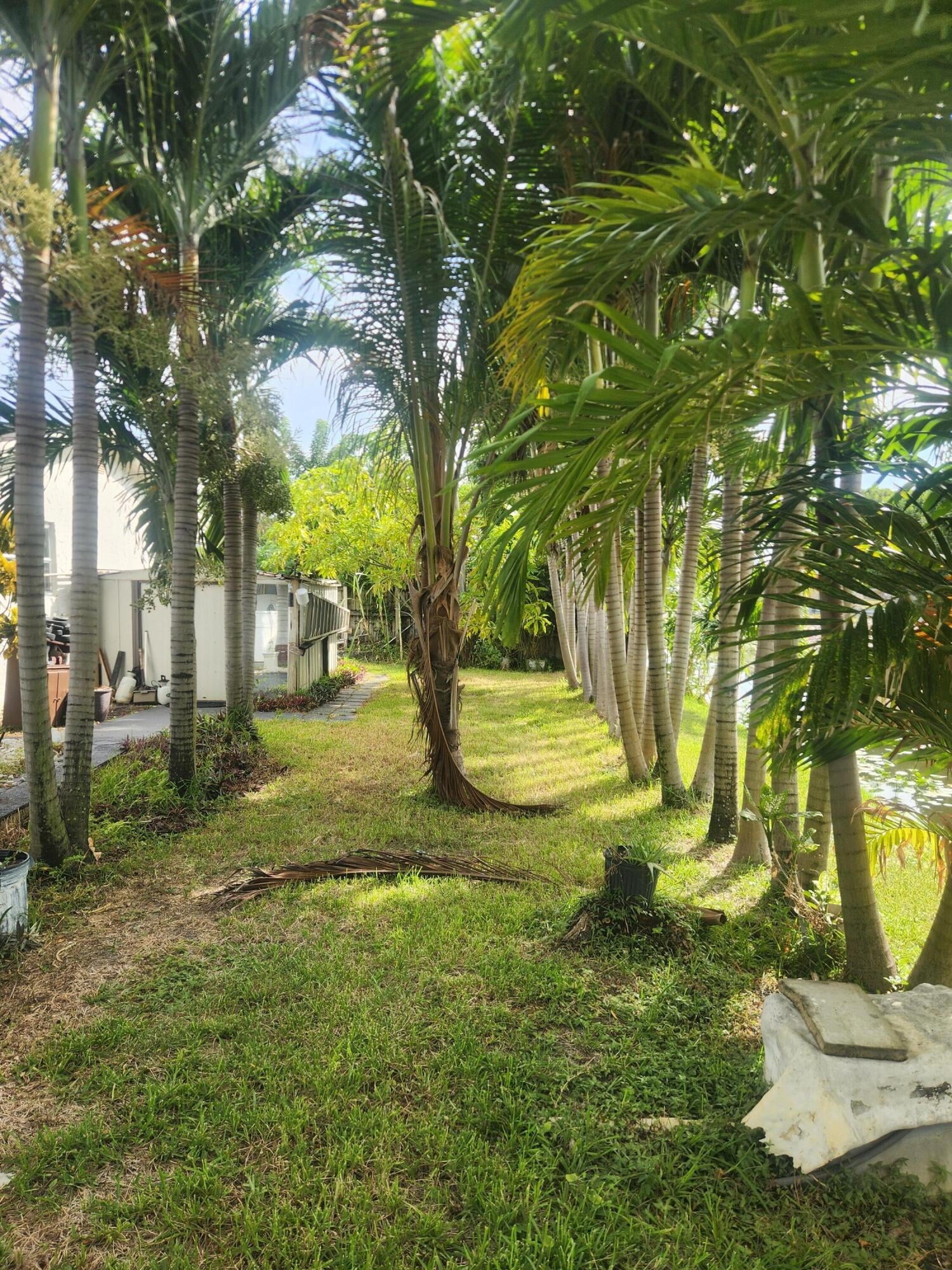 Residence photo 17