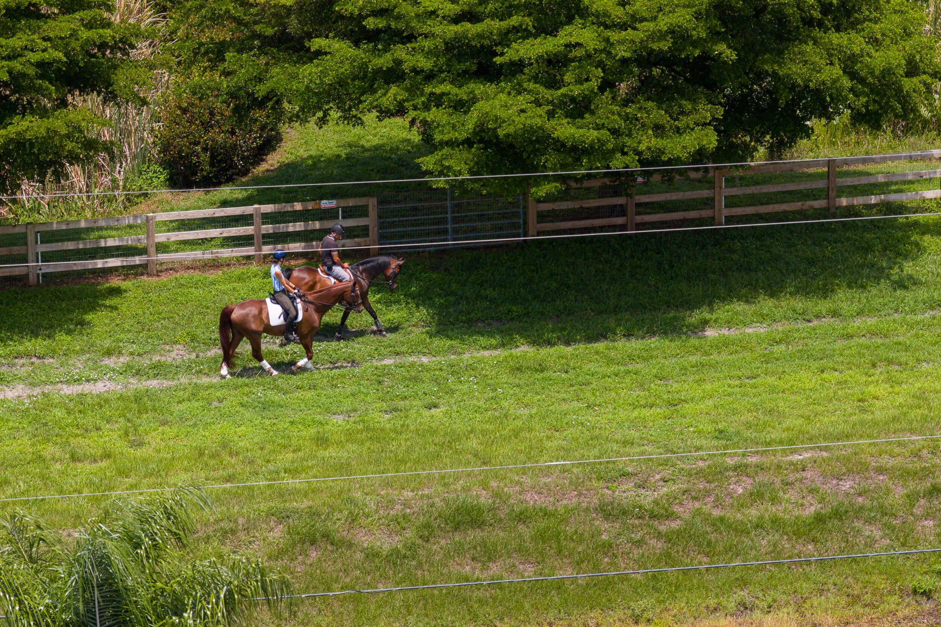 Residence photo 14