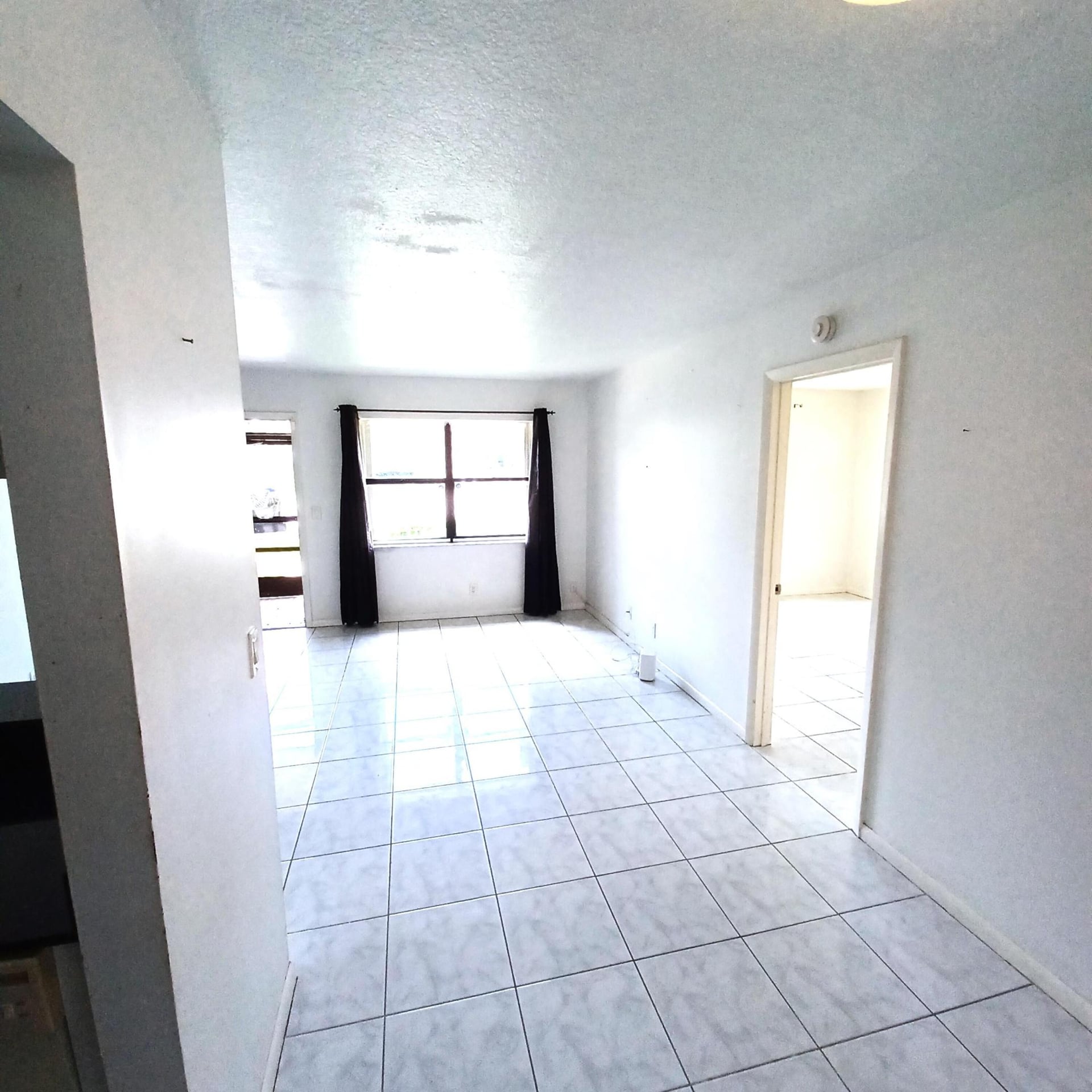 Unit 102 photo 9