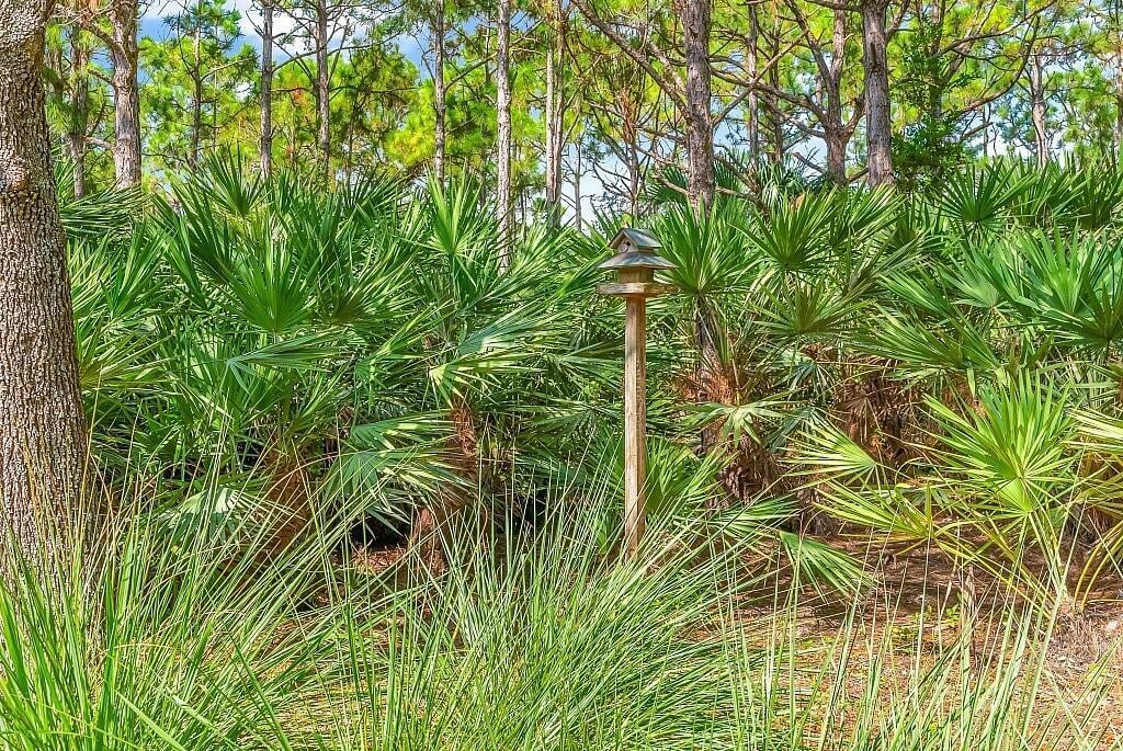 Evergrene Palm Beach Gardens Residence photo 34