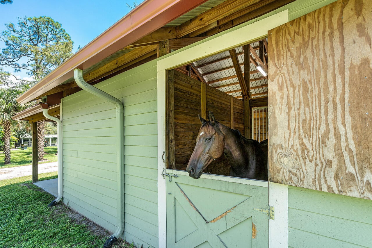 Unit Stalls photo 24