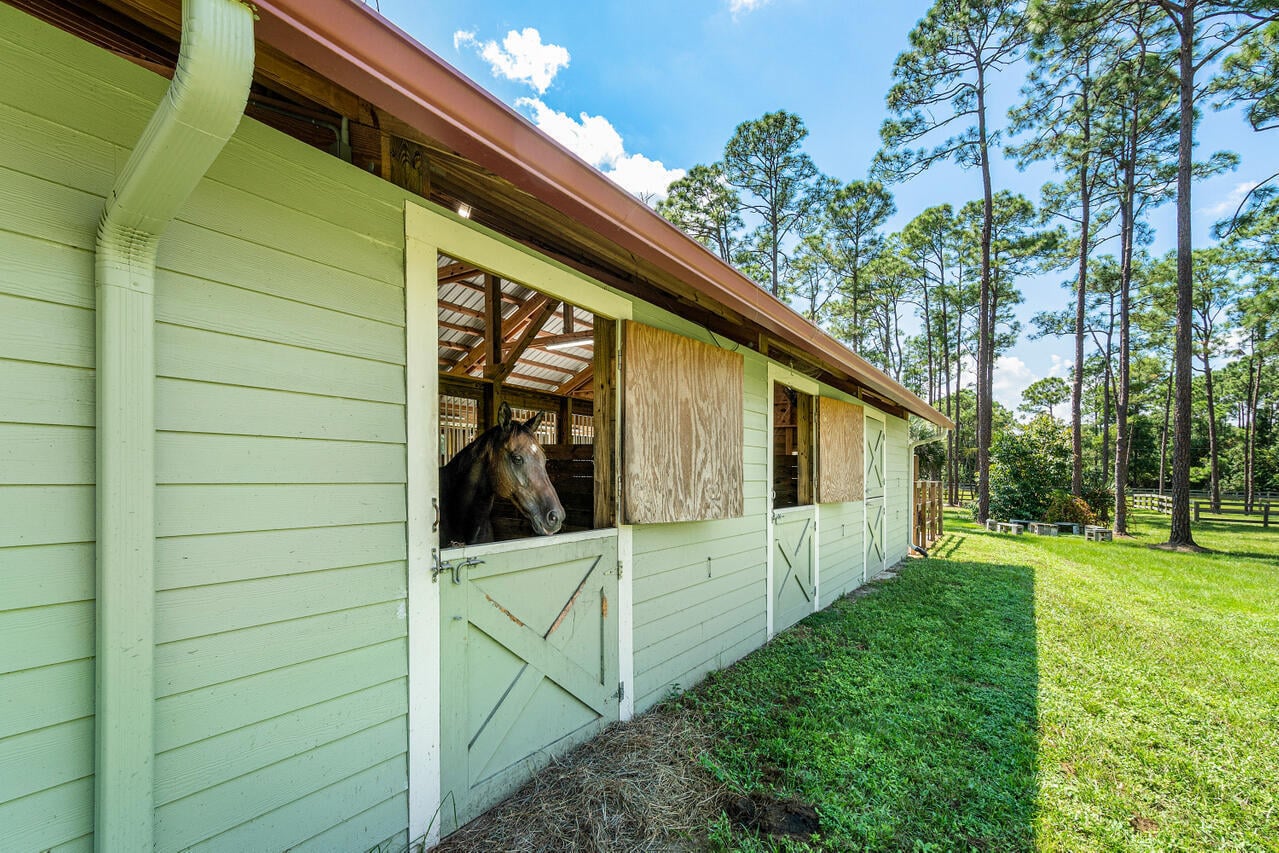 Unit Stalls photo 25