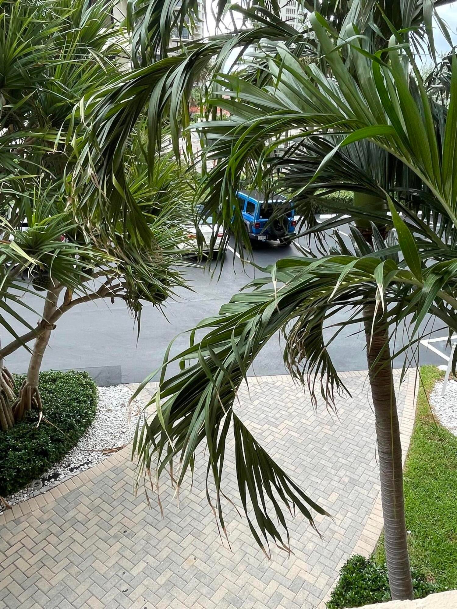Singer Island Unit 1-103 photo 11