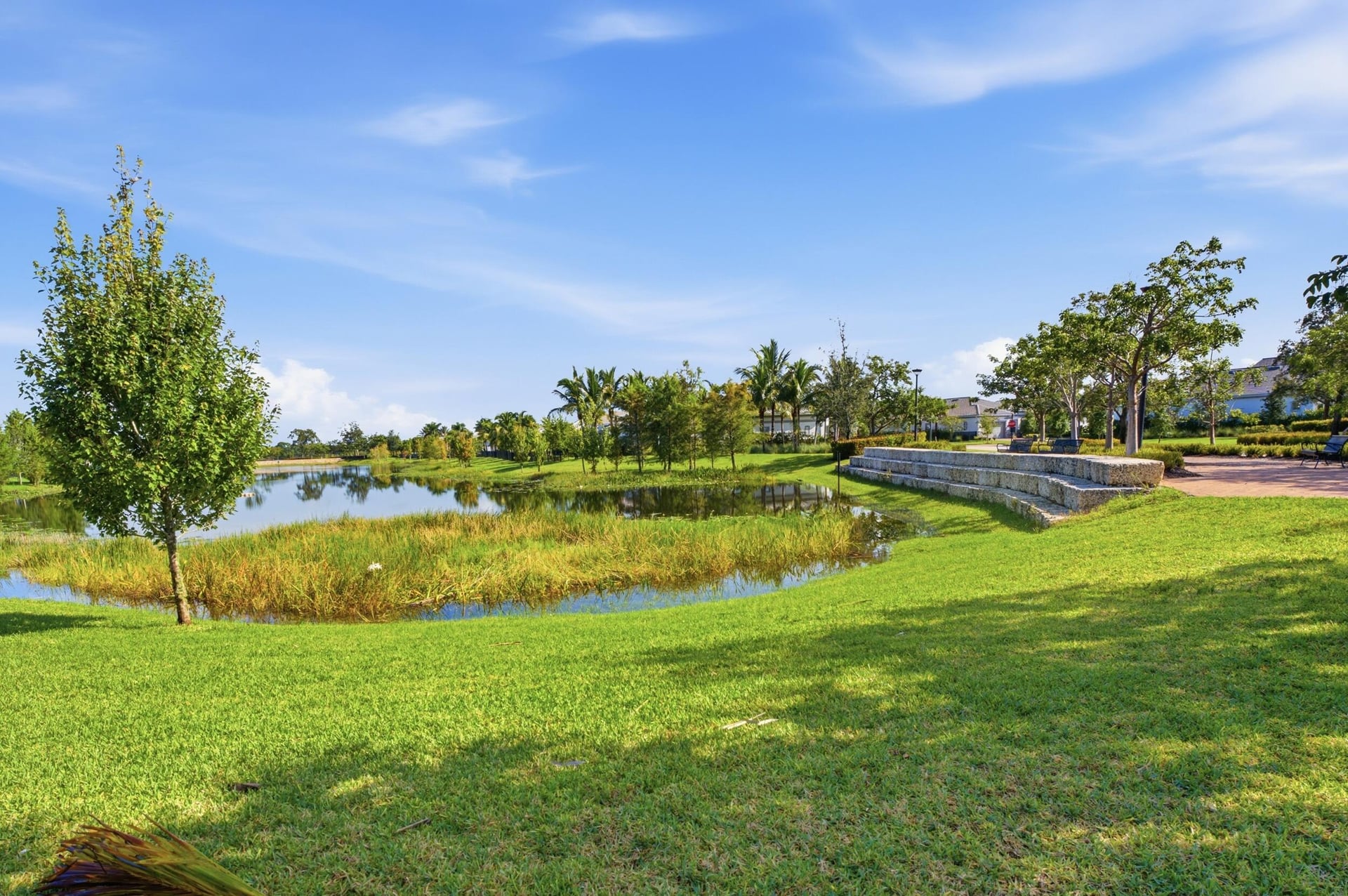 Avenir Residence photo 38