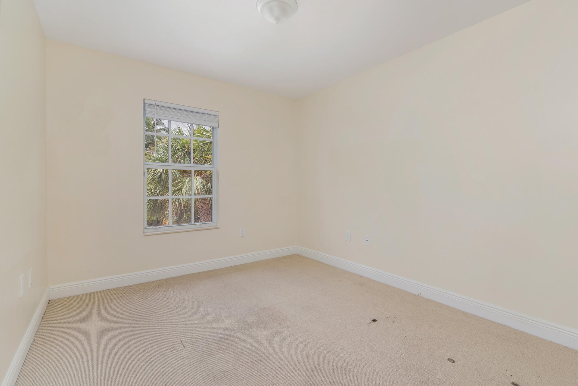 SoSo West Palm Beach Unit 233, 235, 237, 239 photo 39