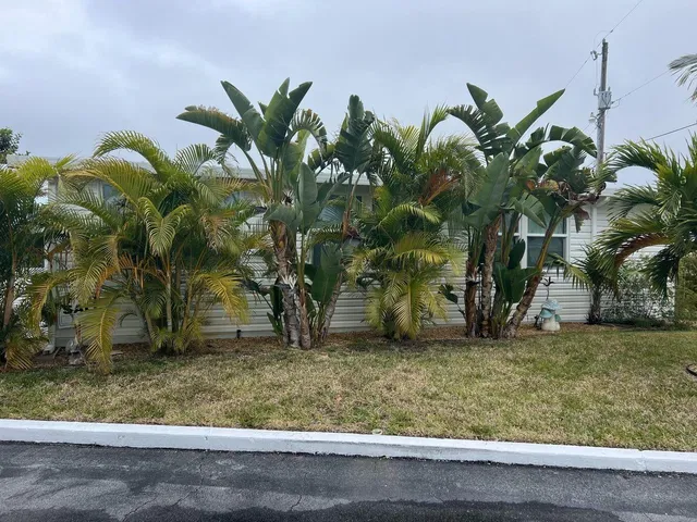  Unit lot 20 photo 30