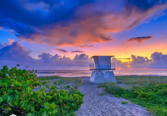  Unit lot 20 photo 33