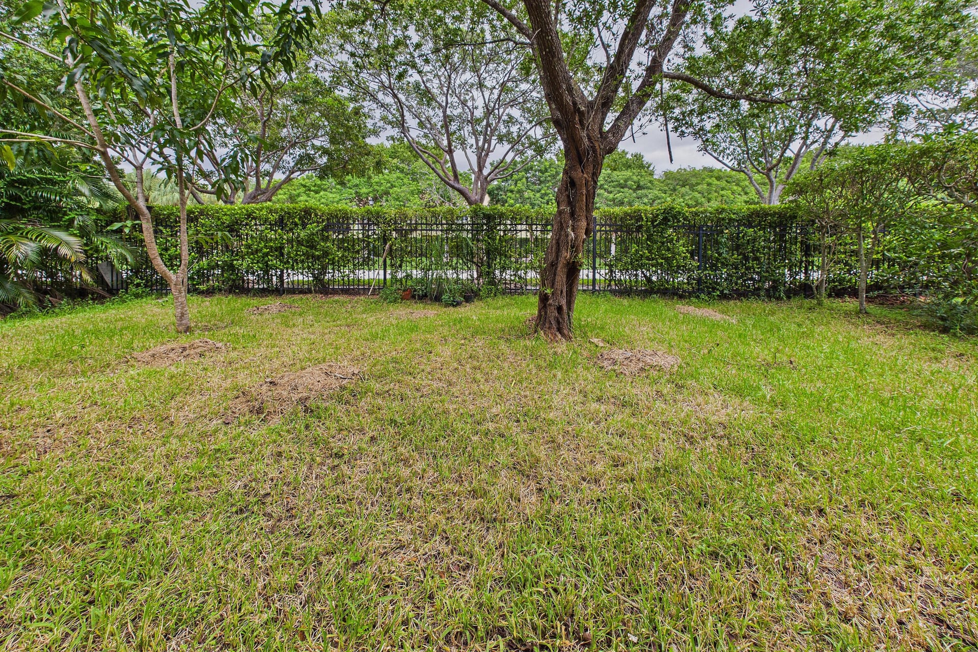Residence photo 37