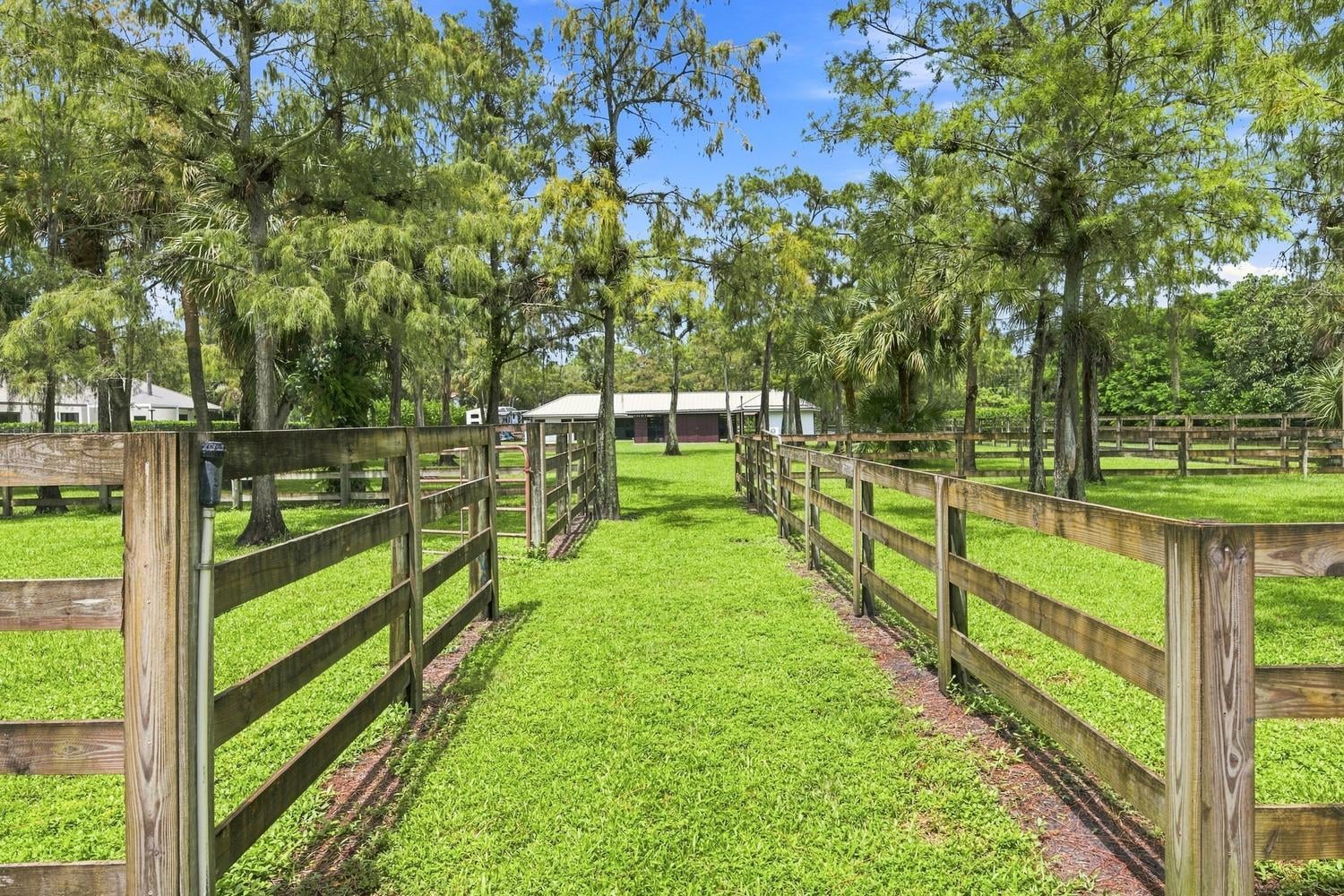 Paddock Park 2 Residence photo 26