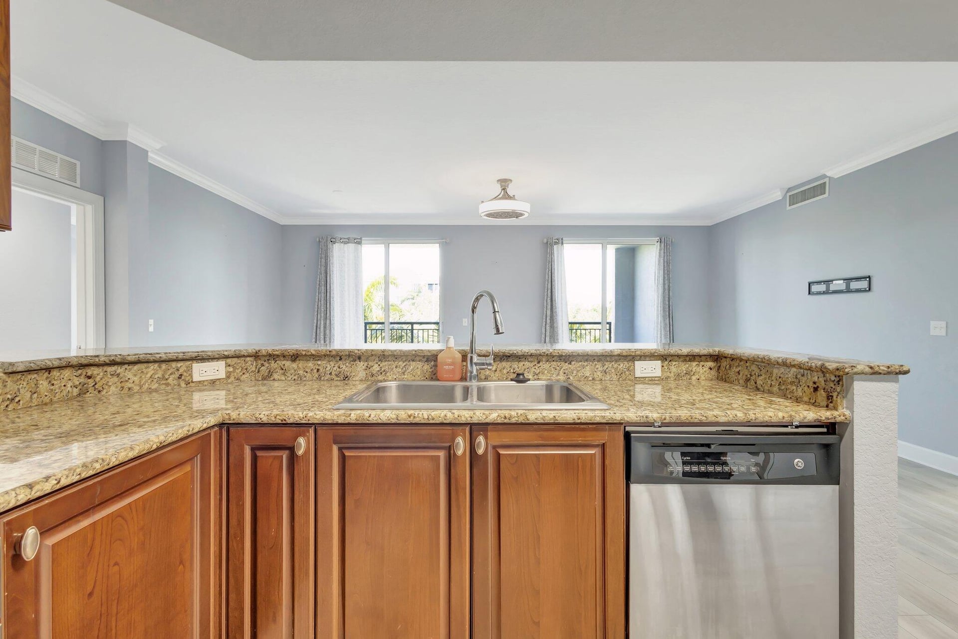 Renaissance Commons II Unit 1401 photo 4