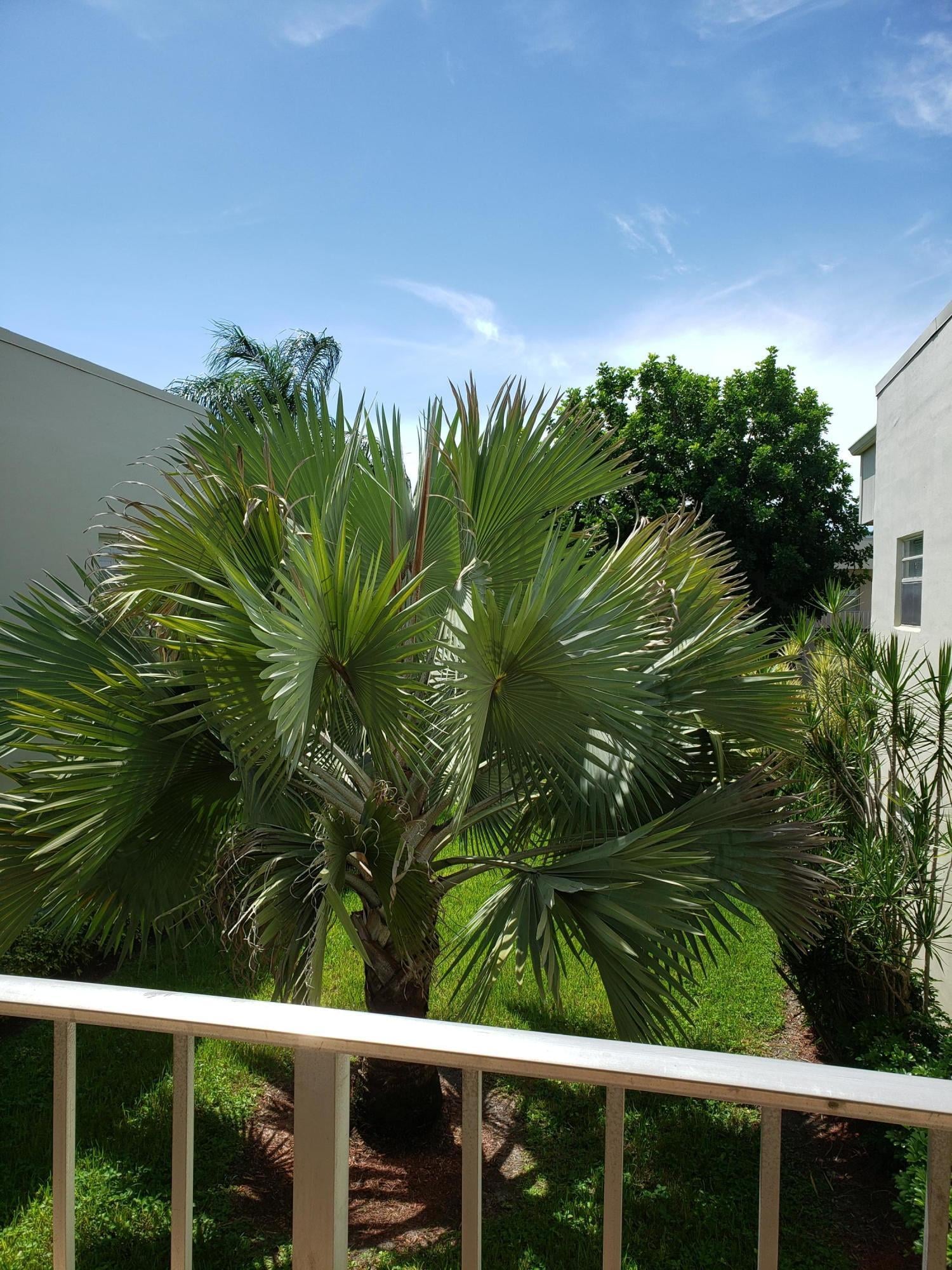  Residence photo 19