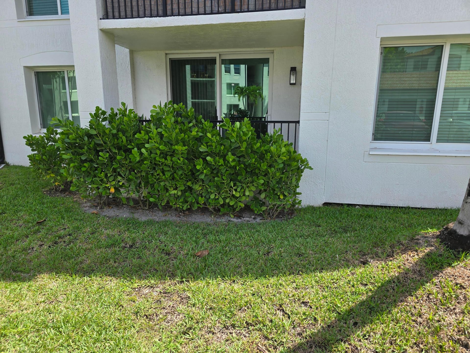 Residence photo 3