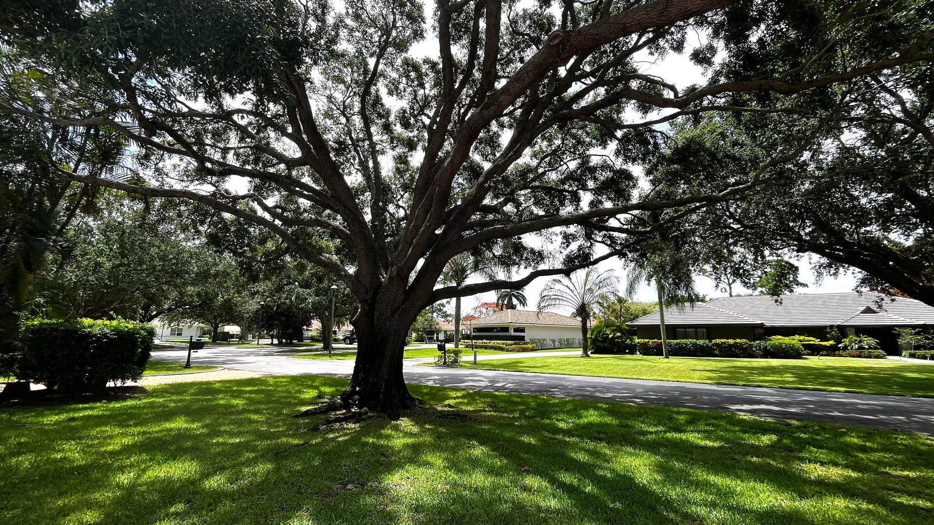 Residence photo 23