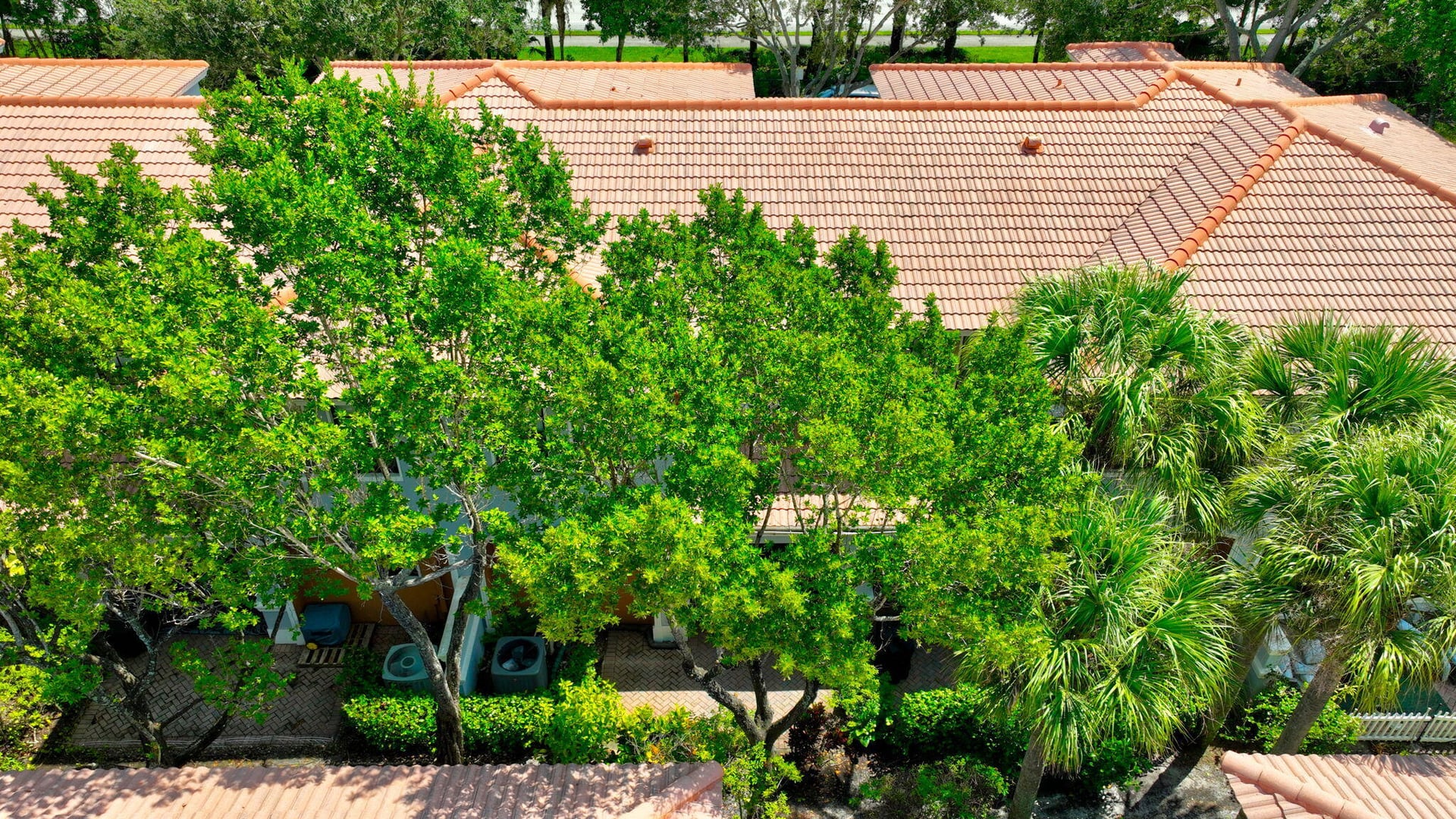  Residence photo 78