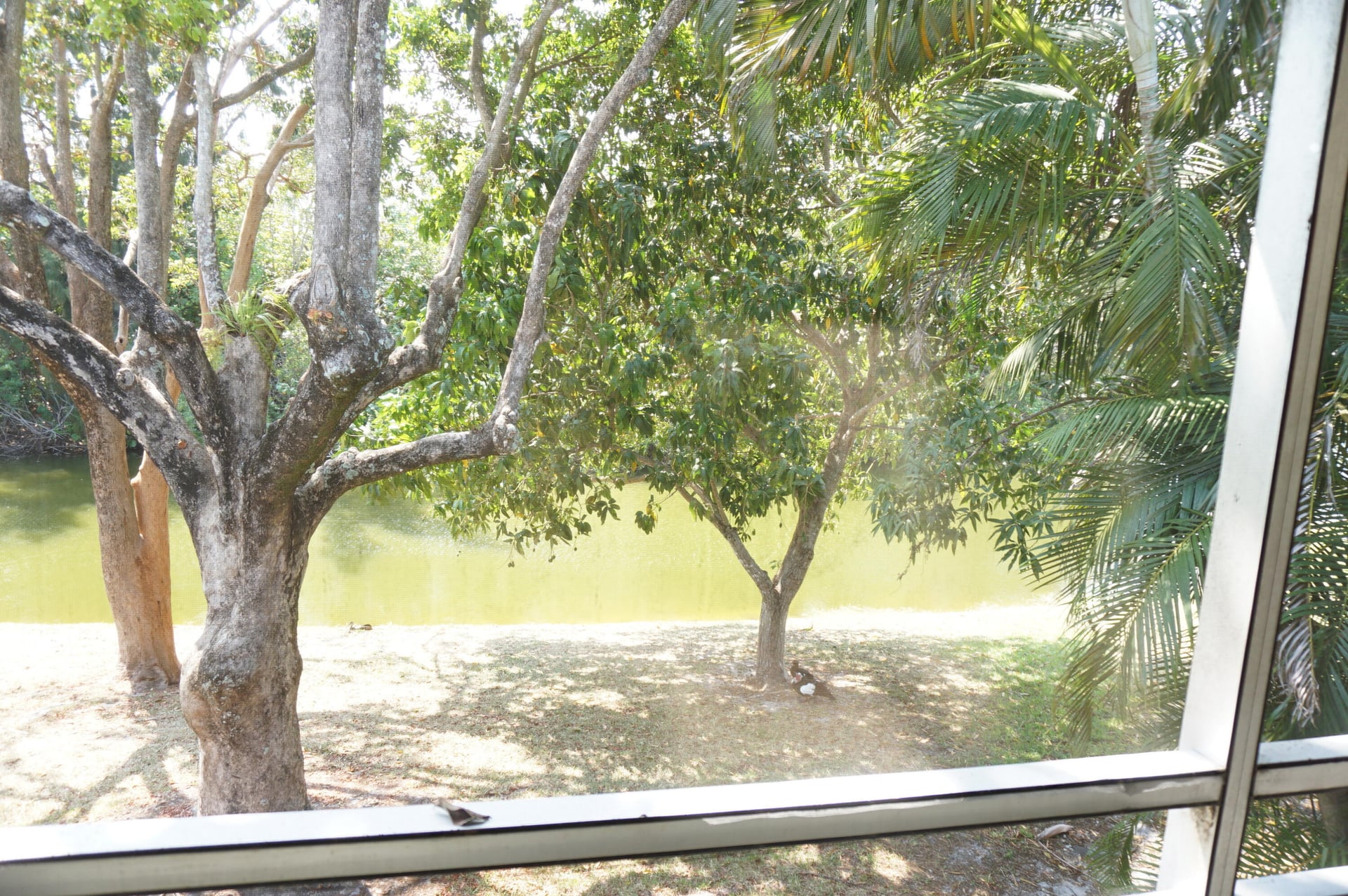 Residence photo 8