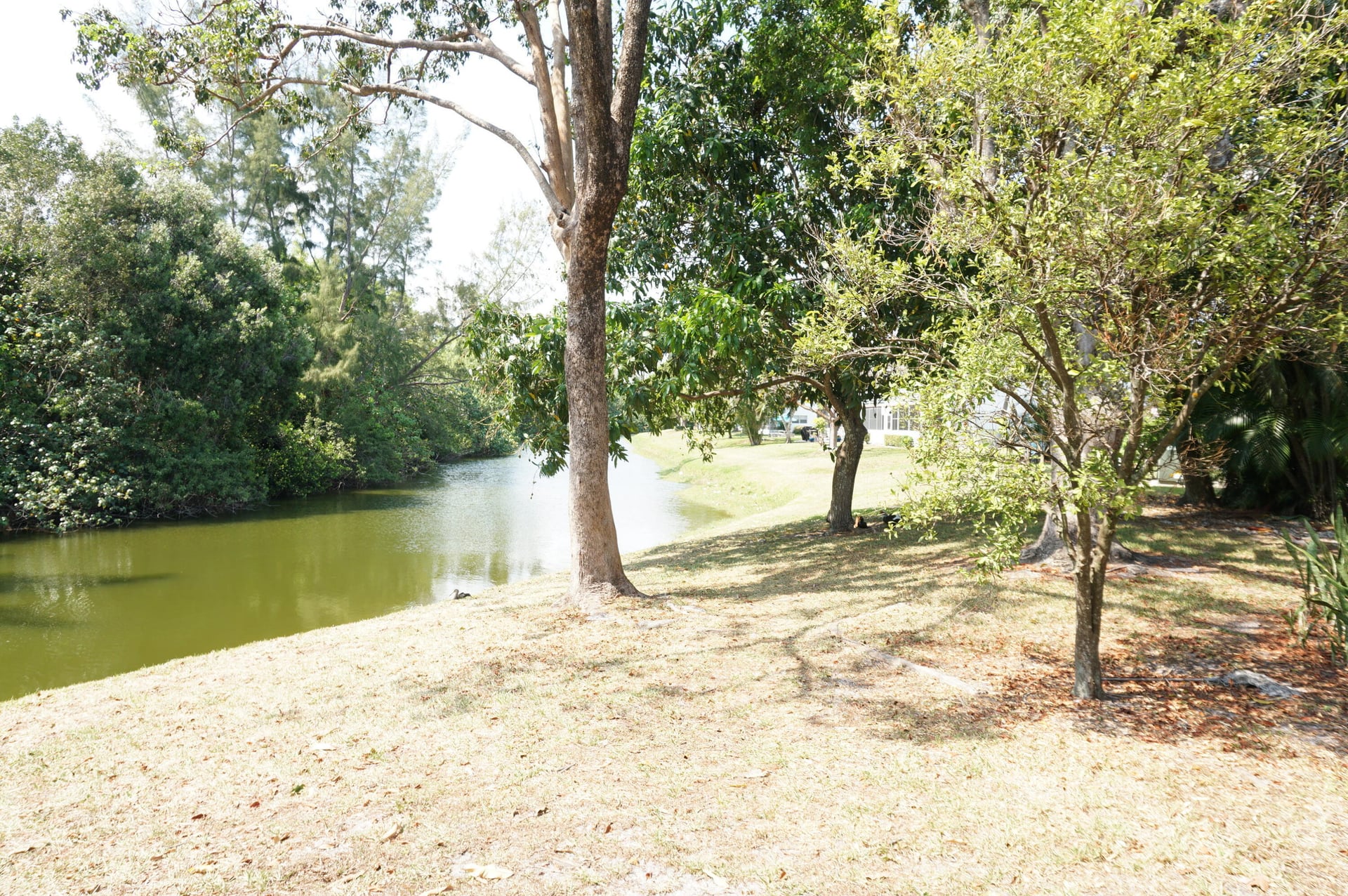 Residence photo 9