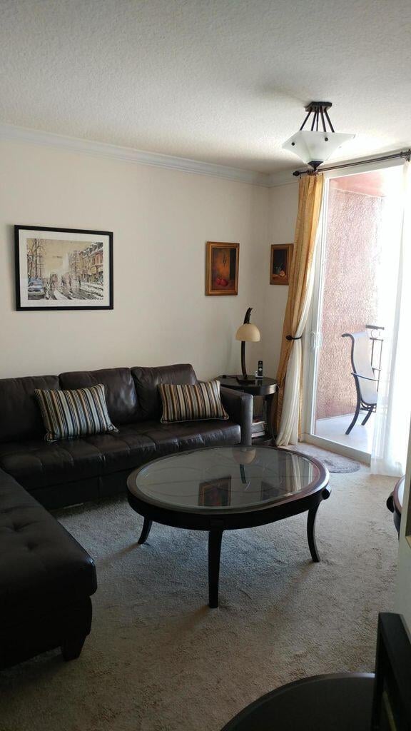 The Prado Unit 656 photo 12