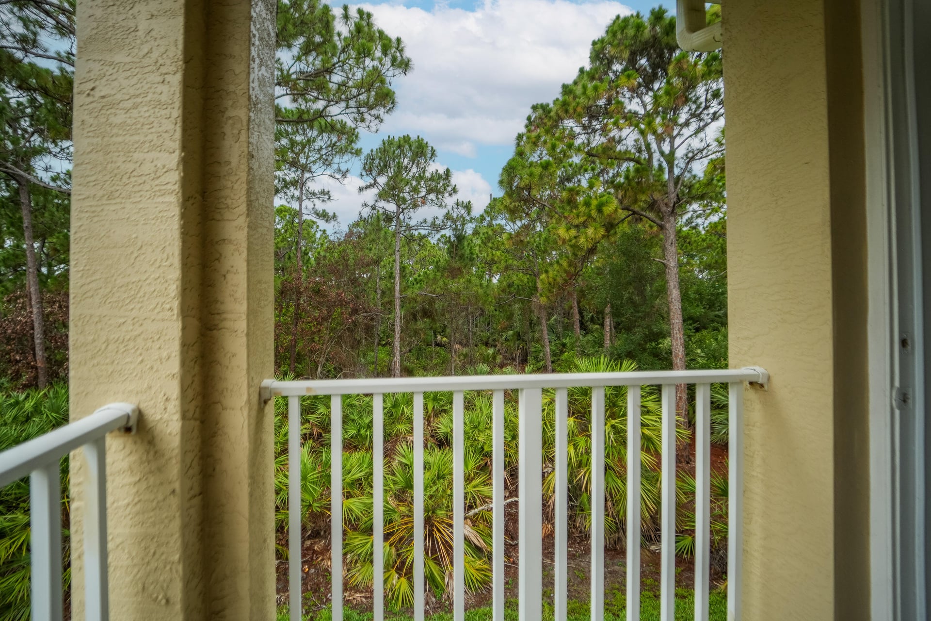Unit 104 photo 29