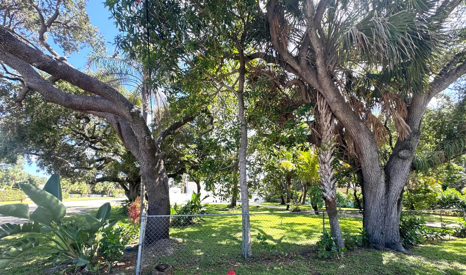 Residence photo 26