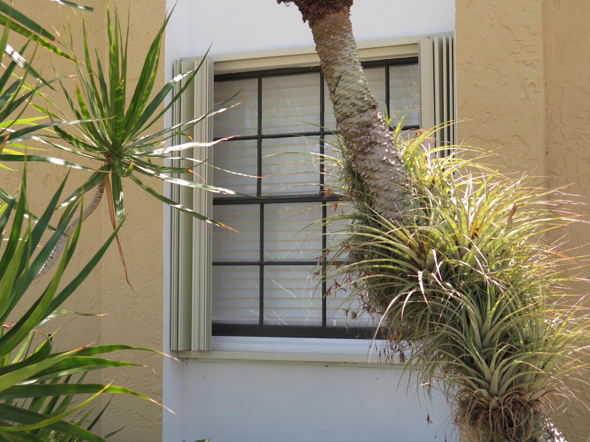  Residence photo 52