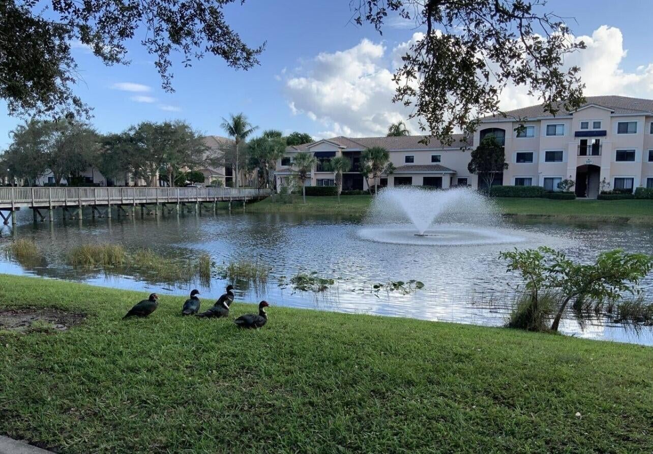Unit 202 photo 6