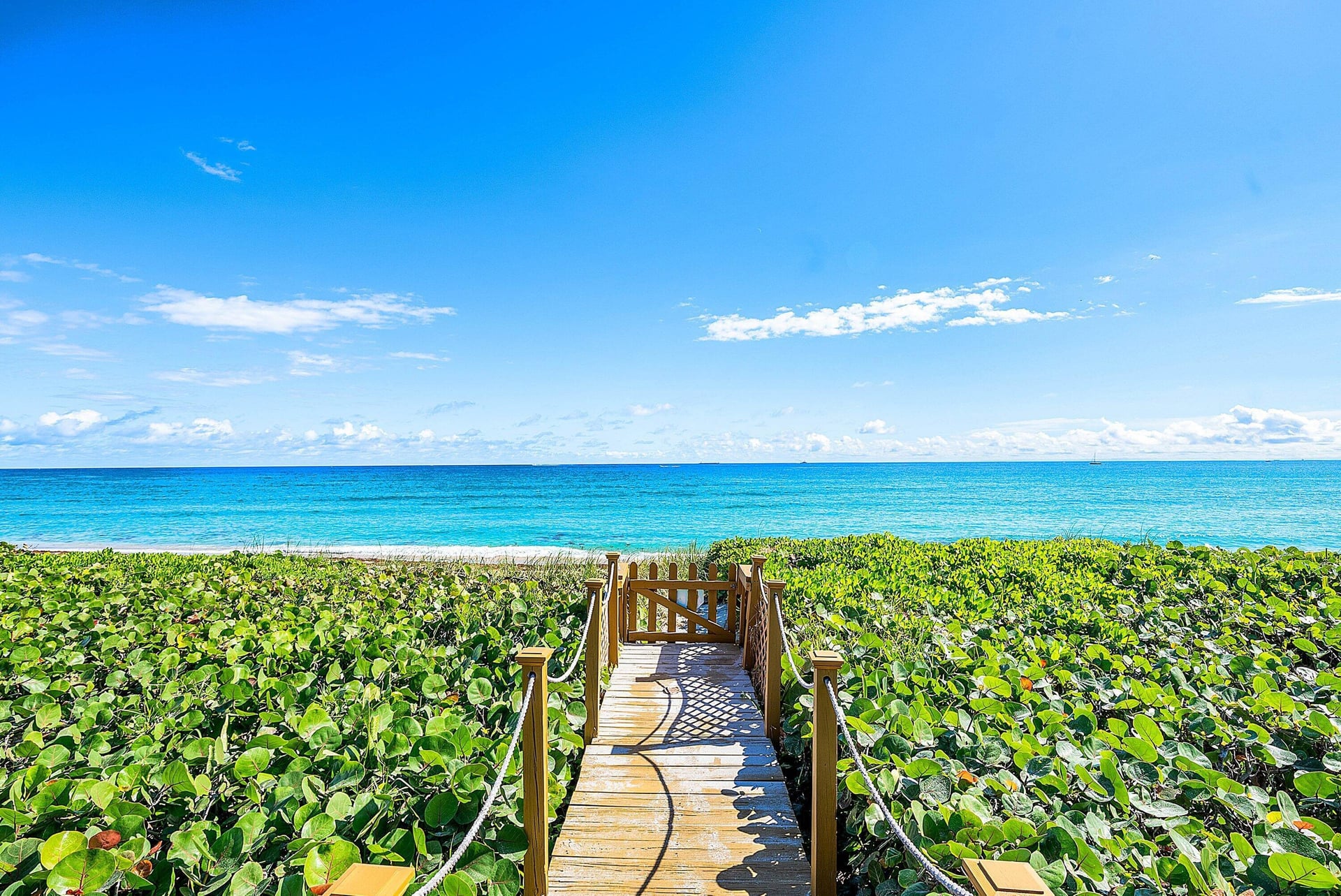 Boynton Beach Park Residence photo 66