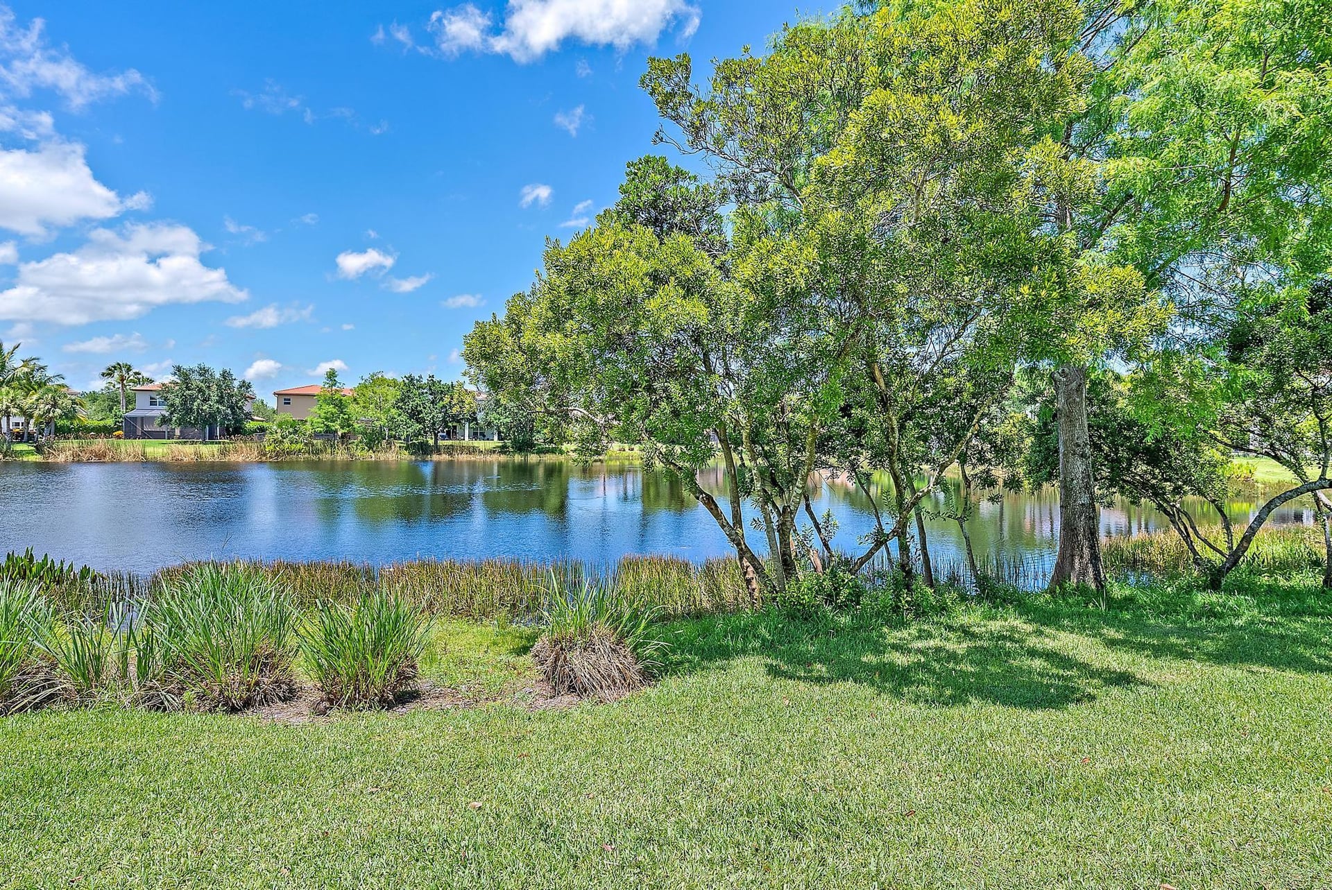 Rialto Jupiter Residence photo 3