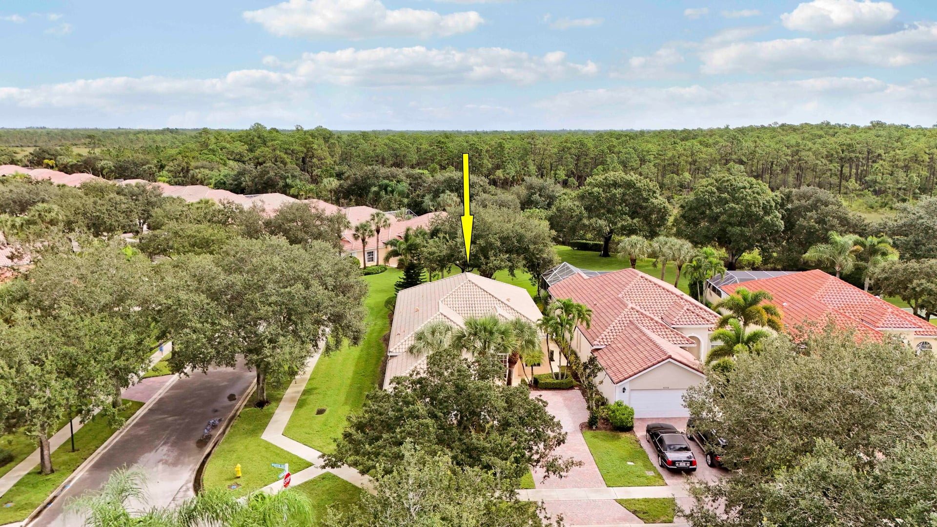 Residence photo 44