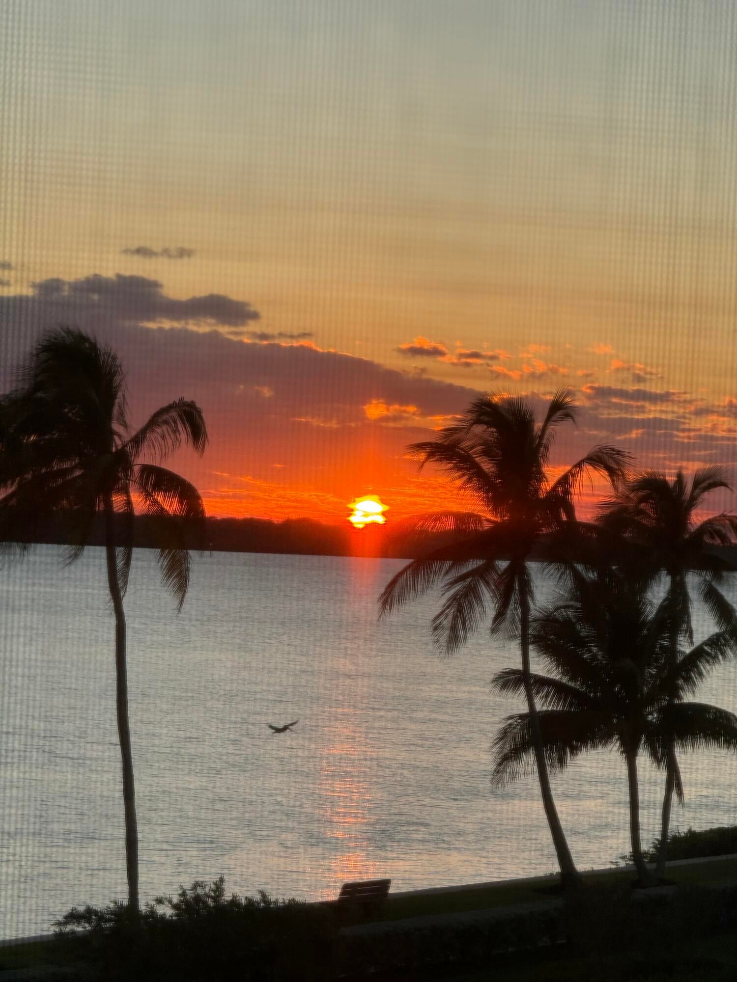Sailfish Point Unit 2306 photo 60