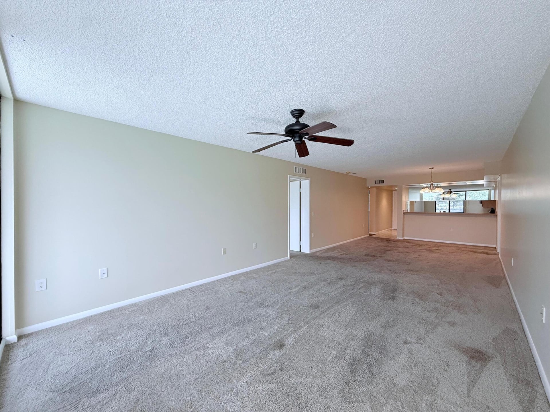  Unit 206 photo 13