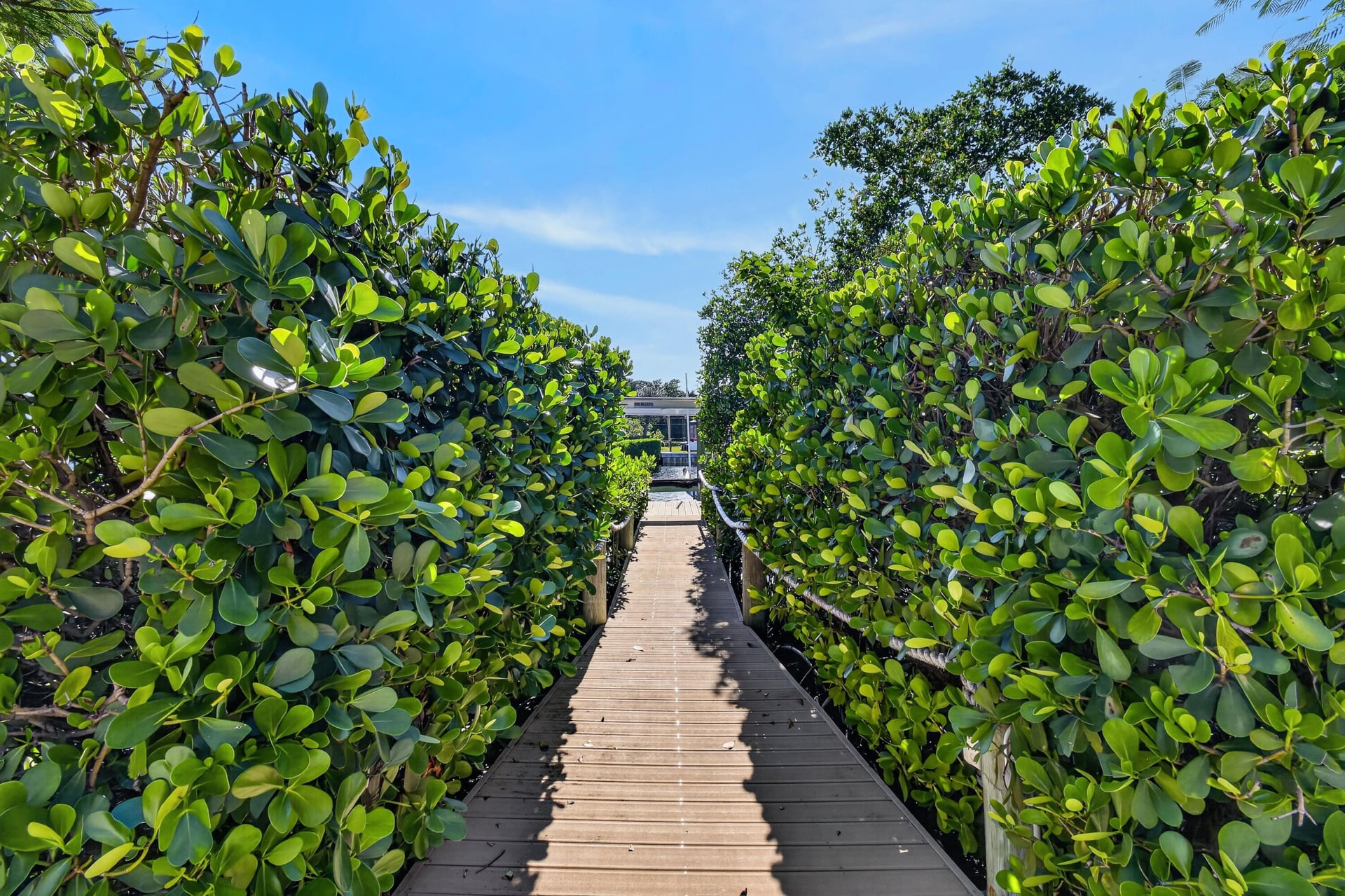 Jupiter River Estates Residence photo 12