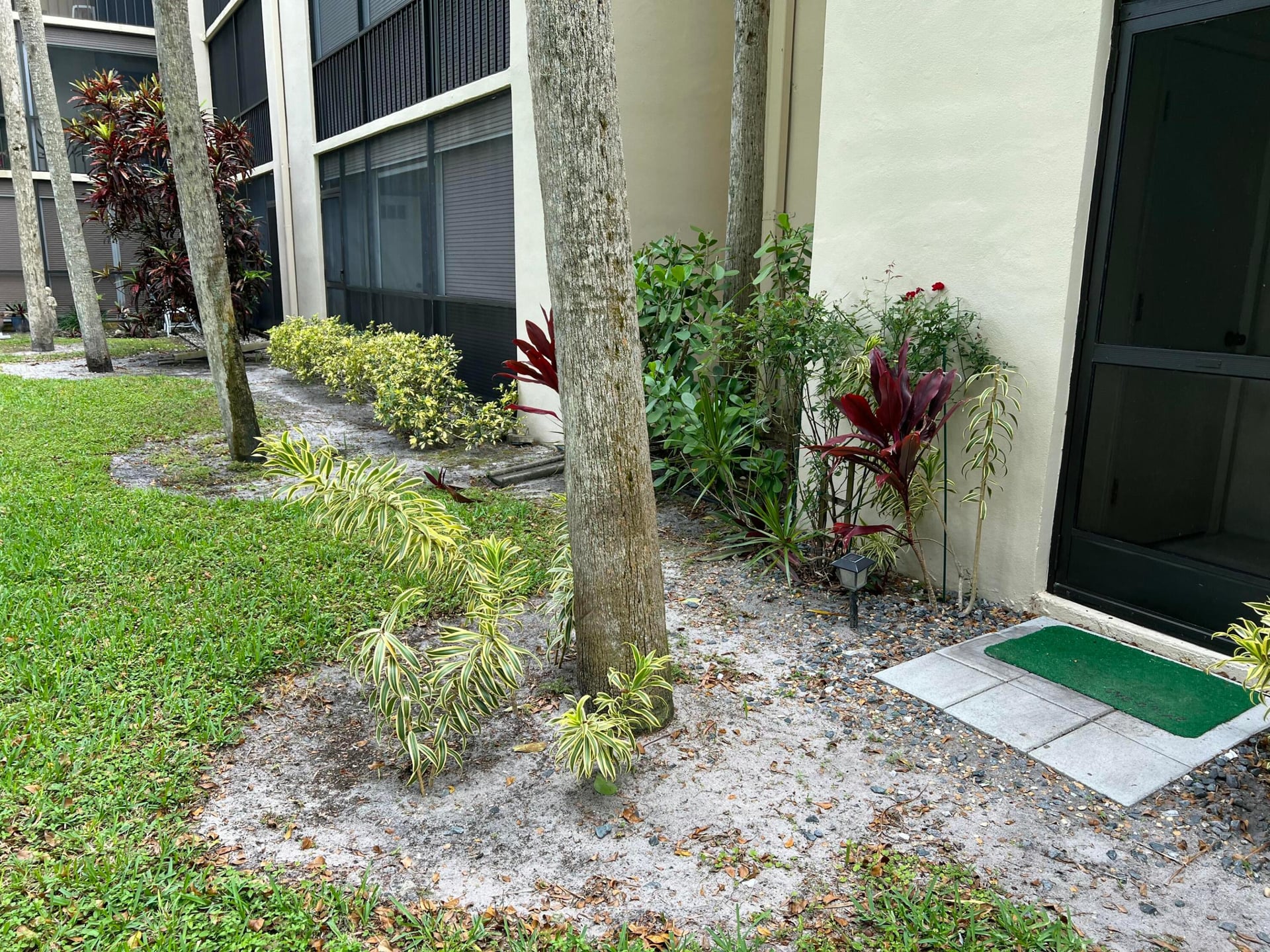 Unit 101 photo 3