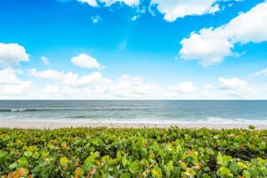 Sloan's Curve Palm Beach Unit 204S photo 41
