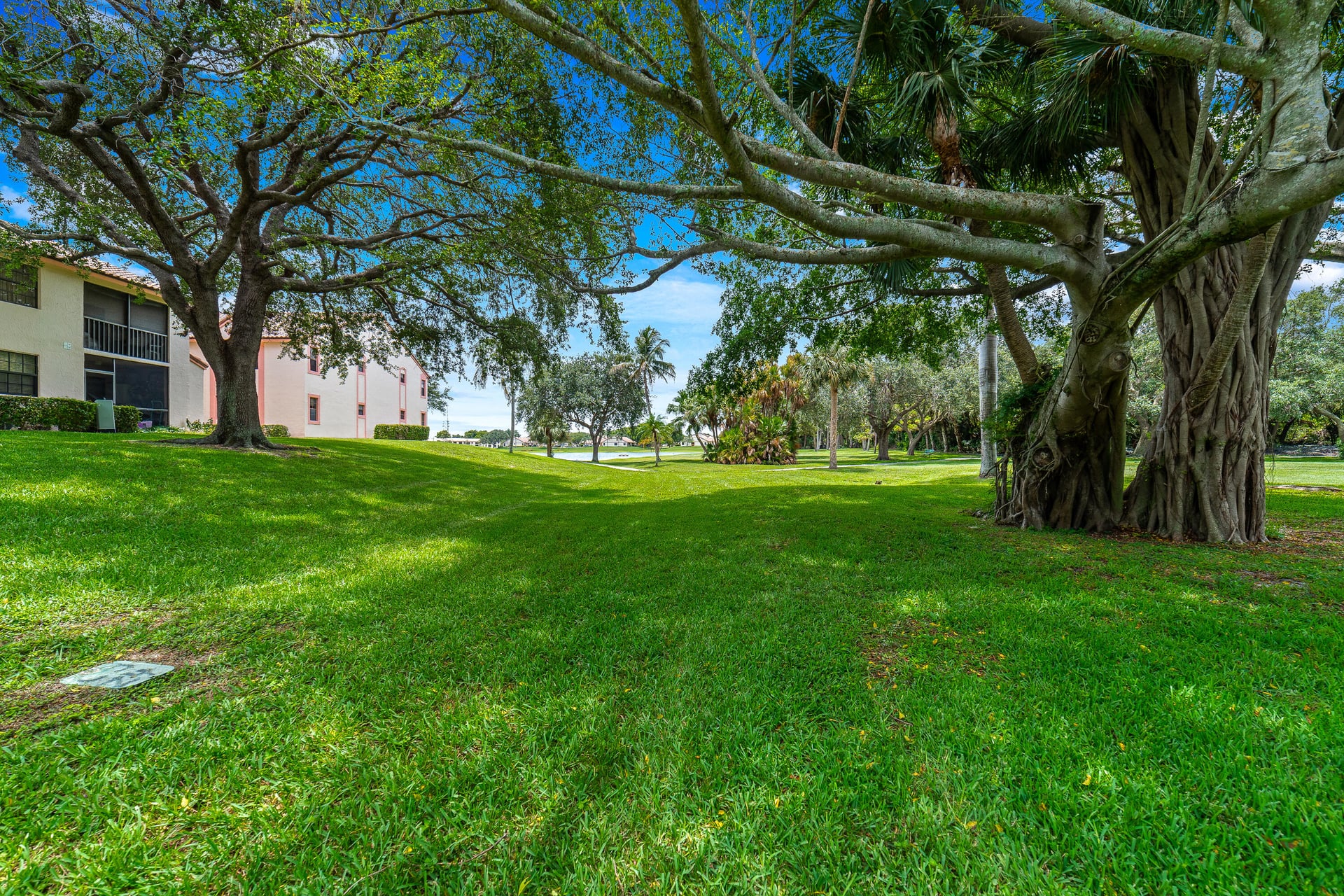 Residence photo 19