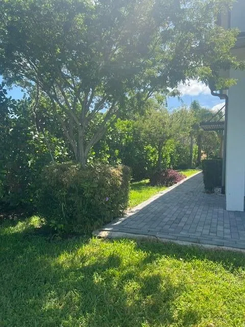 Residence photo 8