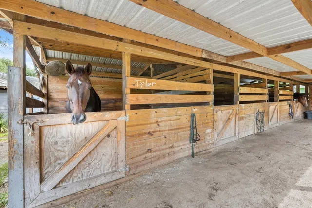 Palm City Farms Residence photo 32