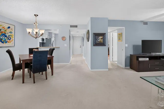 Unit 307 photo 16