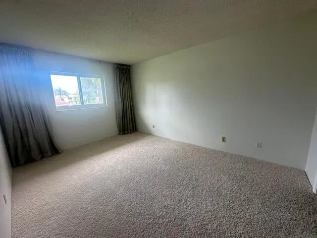 Unit 207 photo 8