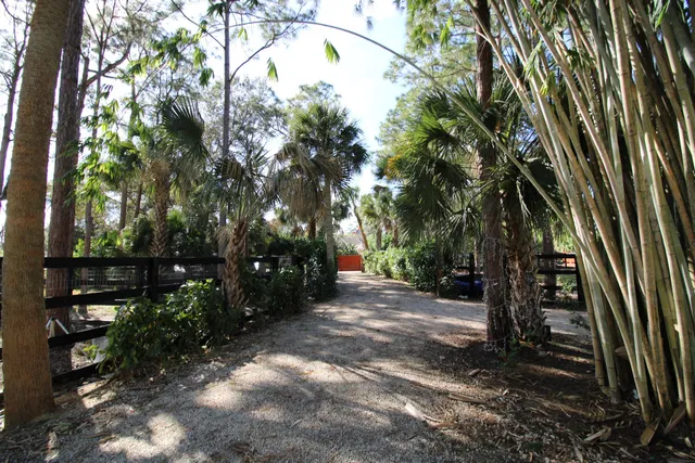 Residence photo 35