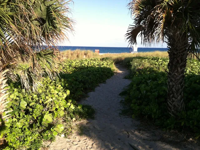 Downtown Delray Beach Residence photo 6
