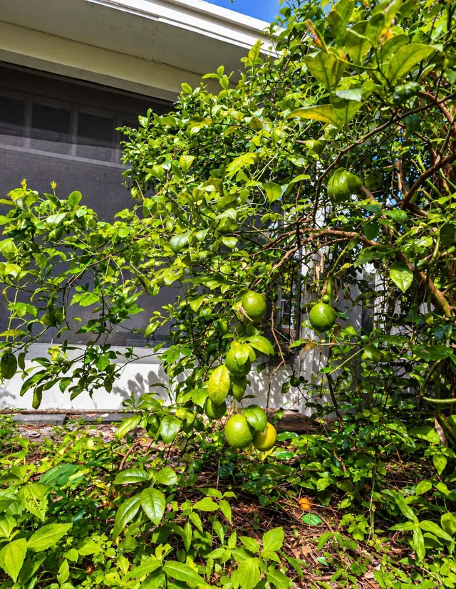  Residence photo 48
