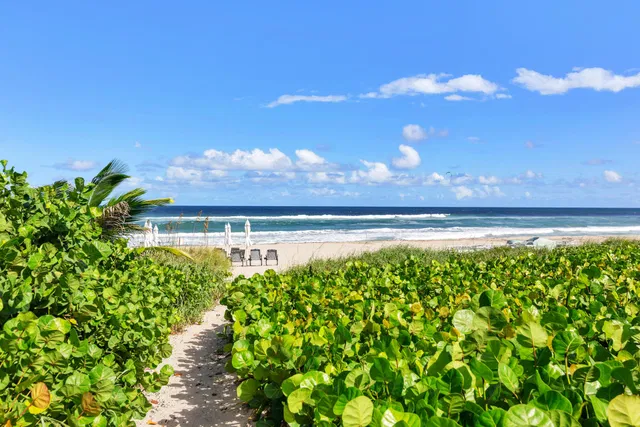 South Palm Beach Unit 301E photo 32