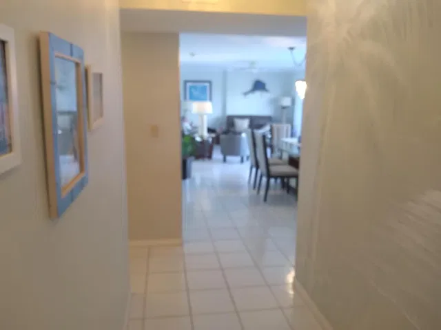 South Palm Beach Unit 304 photo 11