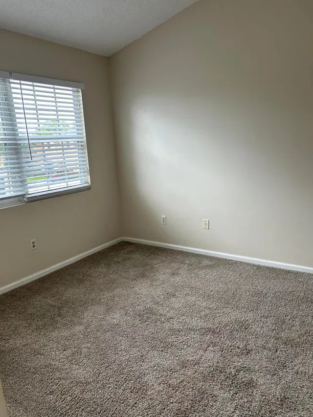Unit 331 photo 15