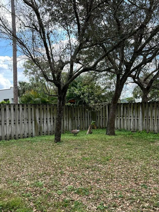 Residence photo 20
