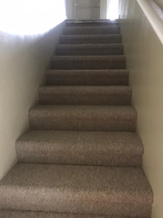 Unit 53 photo 5