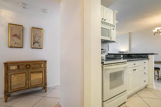 Unit 1004E photo 10