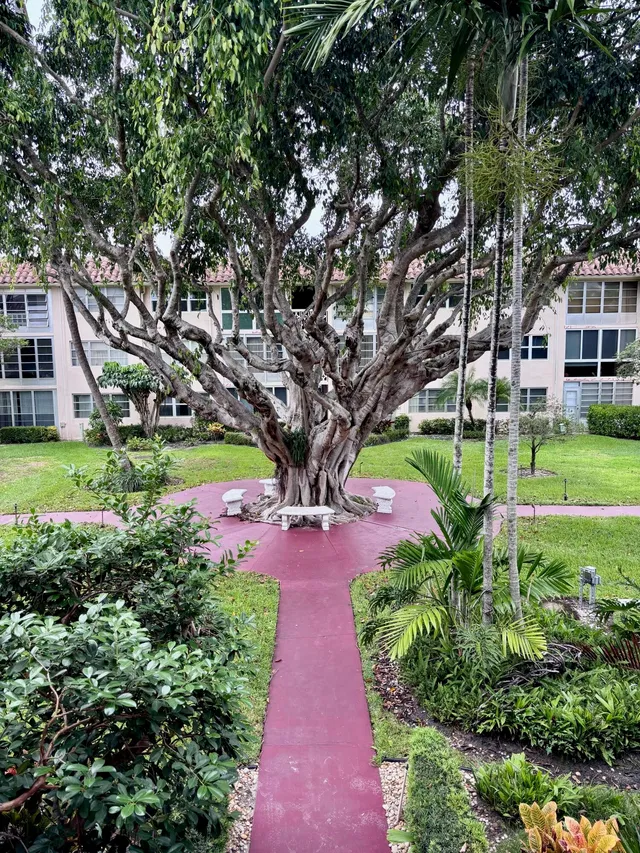 Unit B208 photo 9
